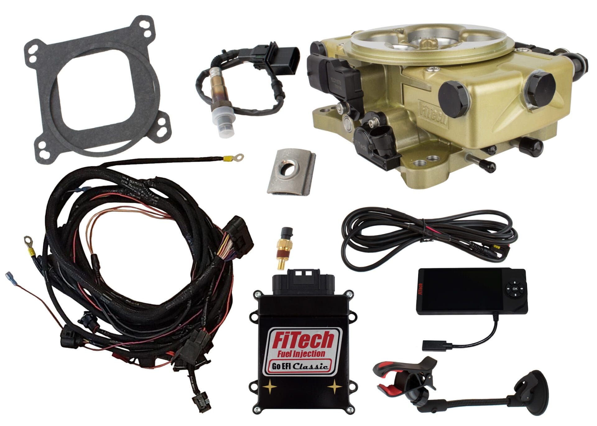 Go EFI Classic Gold 650 HP EFI System