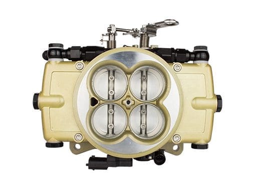 Go EFI Classic Gold 650 HP EFI System