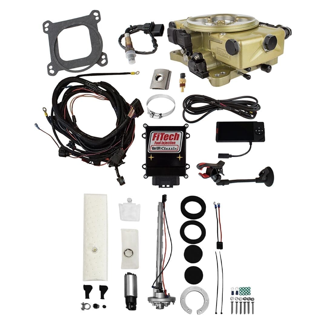 Automotive electronic fuel injection system components.