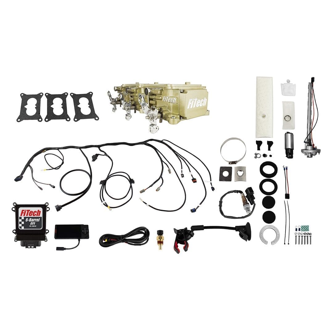 Automotive electronic fuel injection system components.
