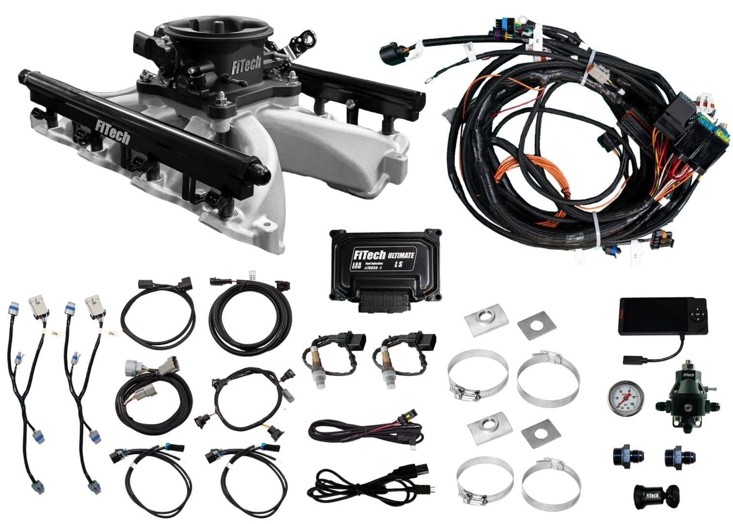 Electronic fuel injection system components and wiring.
