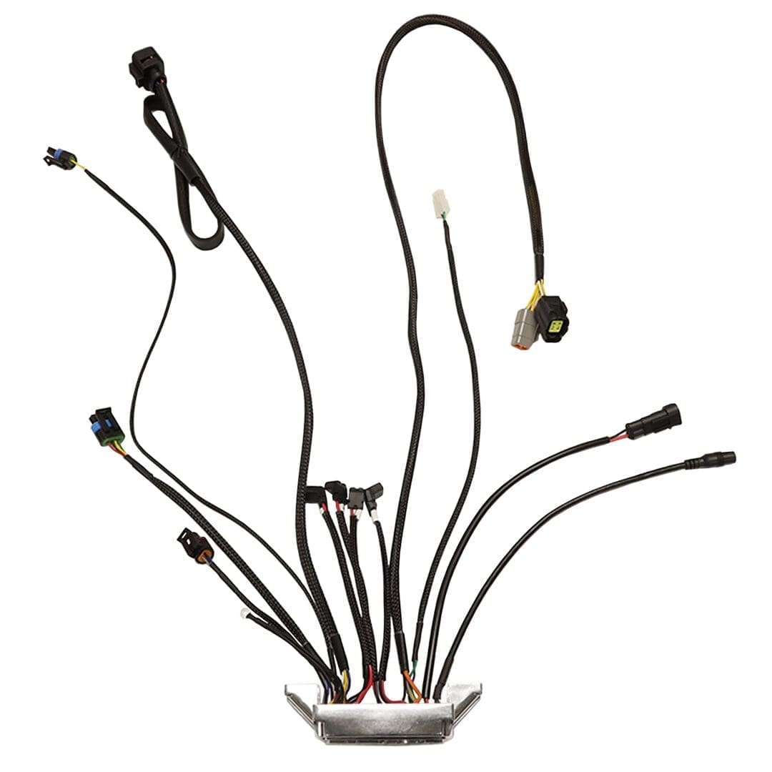 Electrical wiring harness with multiple connectors.