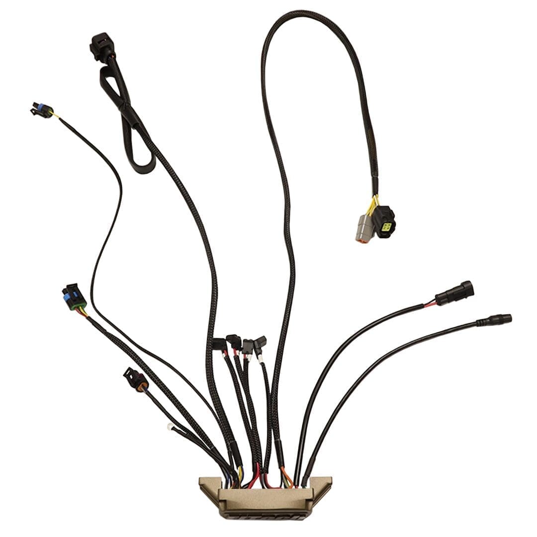 Automotive wiring harness with multiple connectors.