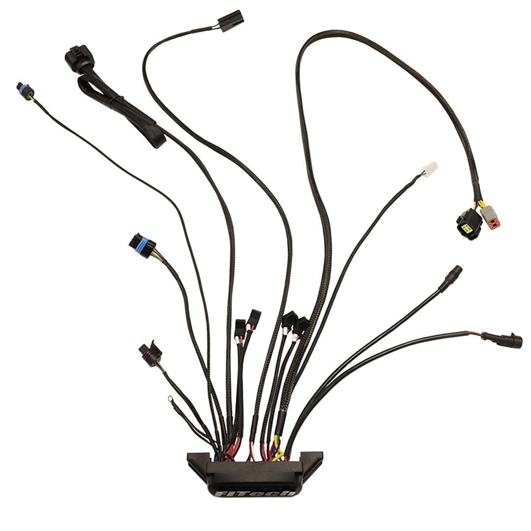 Wiring harness with multiple connectors and cables.