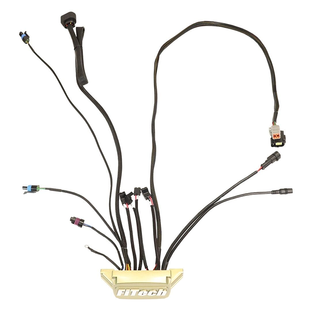 FiTech wiring harness with multiple connectors.