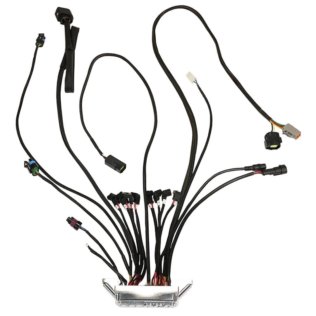 Automotive wiring harness with multiple connectors.