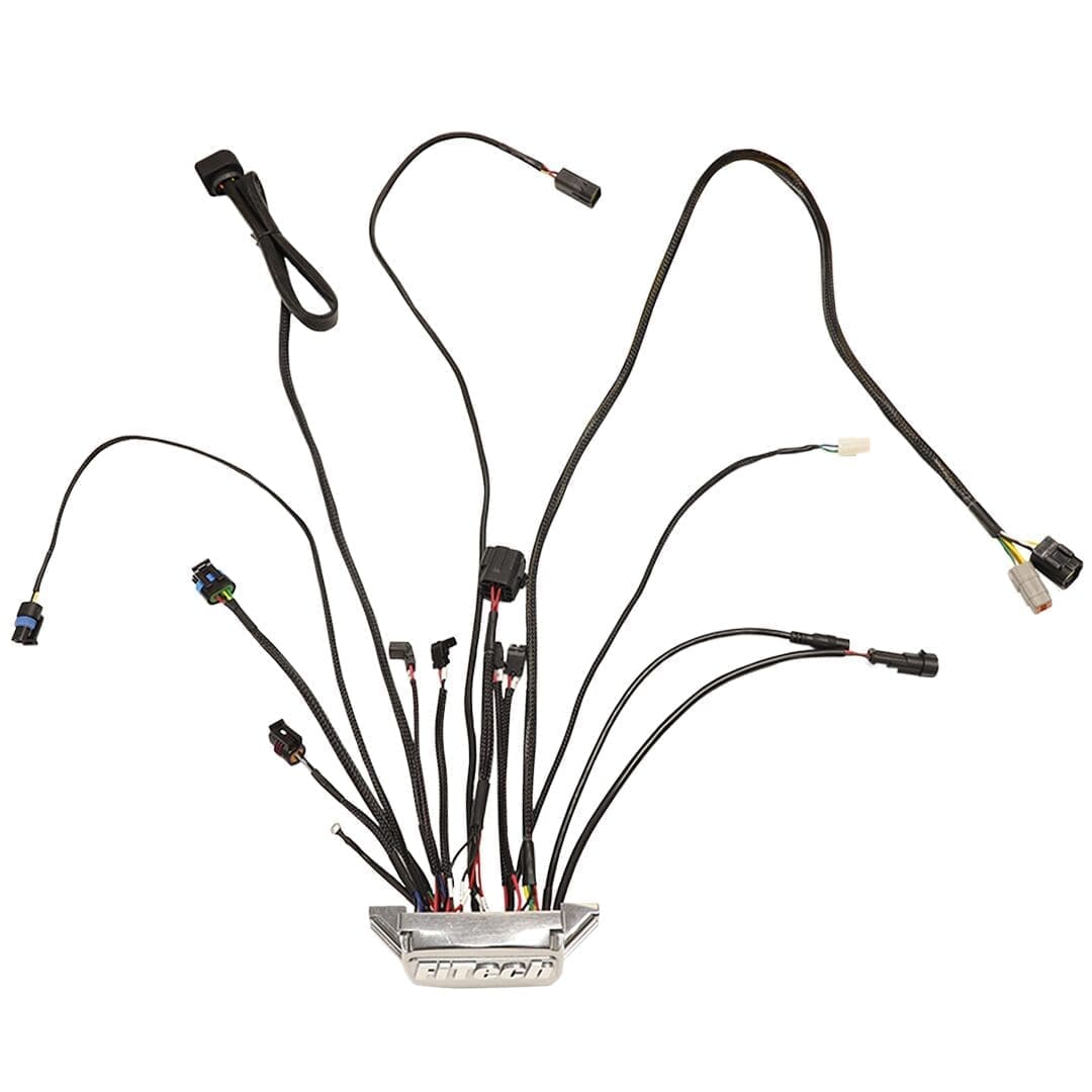 Wiring harness with multiple connectors and wires.