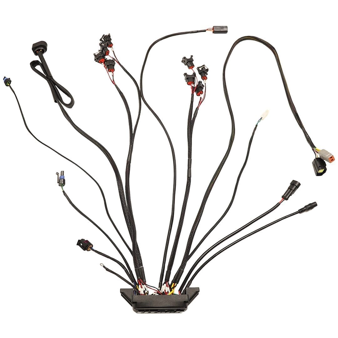 Car engine wiring harness with connectors.