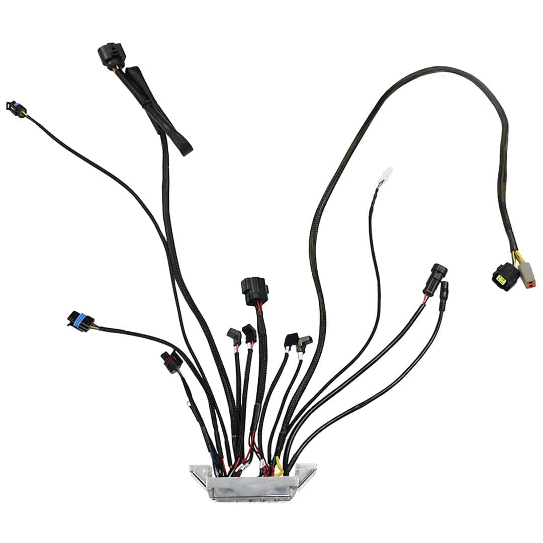 Wiring harness with multiple connectors and cables.