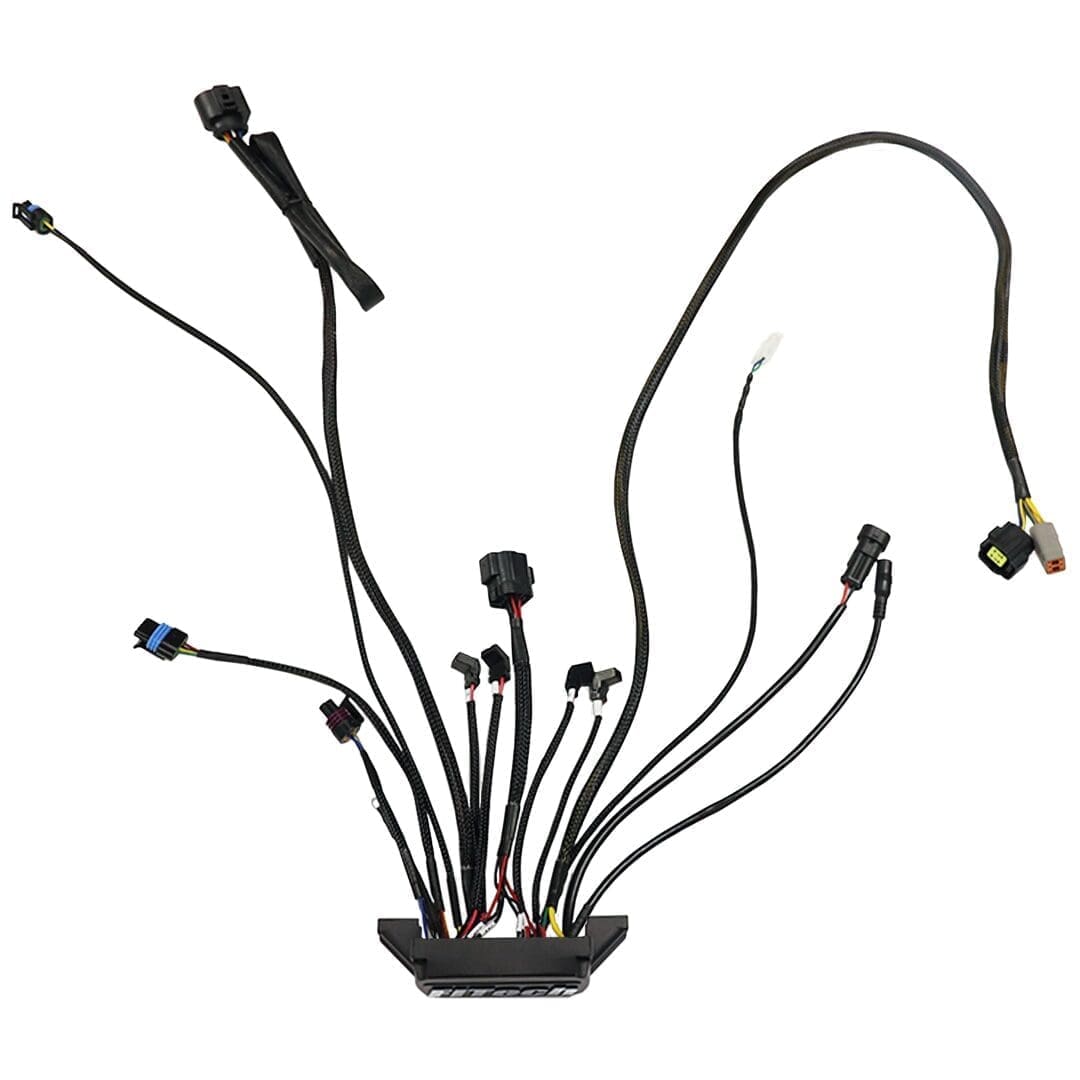 Wiring harness with multiple connectors and wires.