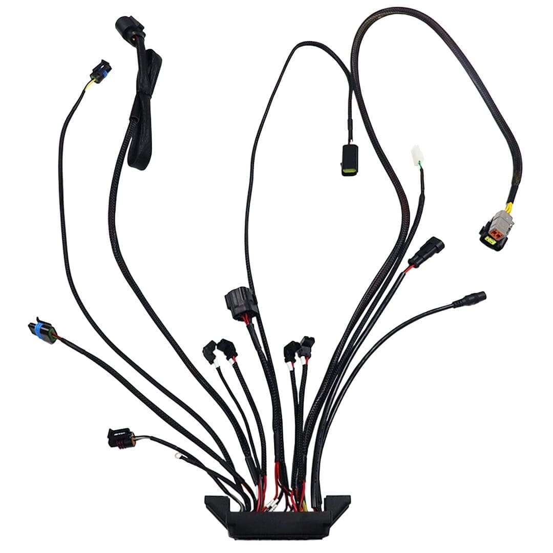 Wiring harness with multiple connectors and cables.