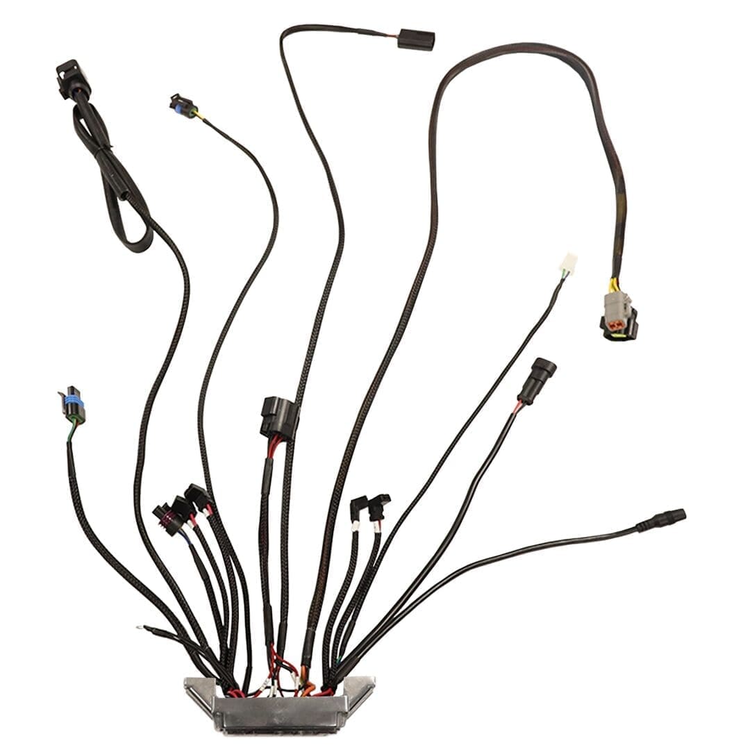 Electrical wiring harness with multiple connectors.